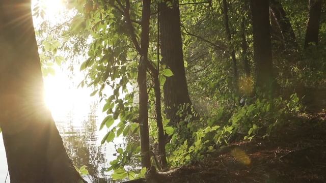 Relax Природа спокойная музыка смотреть онлайн