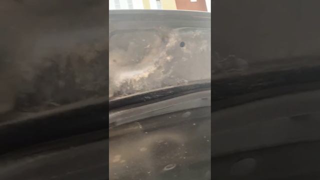 Киа Оптима полный осмотр (эталонное состояние) смотреть онлайн