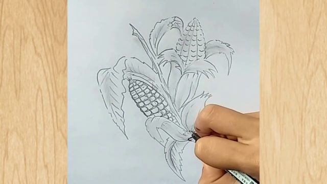 how to drawing video image,drawing image video,sketch drawing with pencil, смотреть онлайн