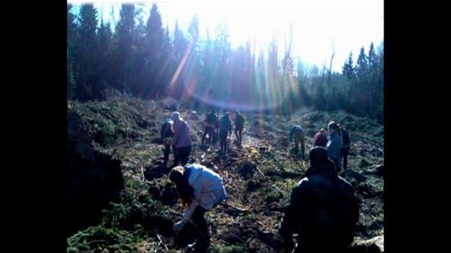 ВИЗИТКА Гольшаны СШ 0001 смотреть онлайн