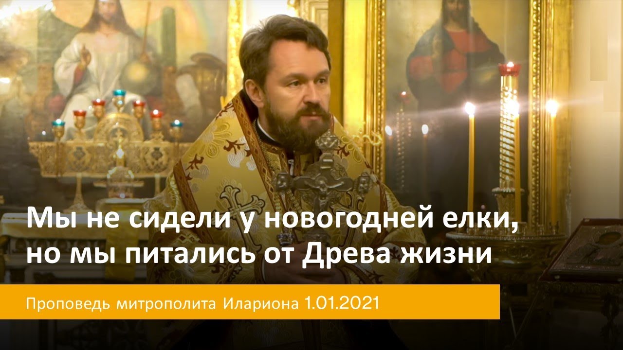Мы не сидели у новогодней елки, но мы питались от Древа жизни смотреть онлайн