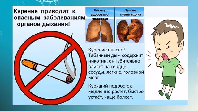 Видеопрезентация "В жизнь без вредных привычек" смотреть онлайн