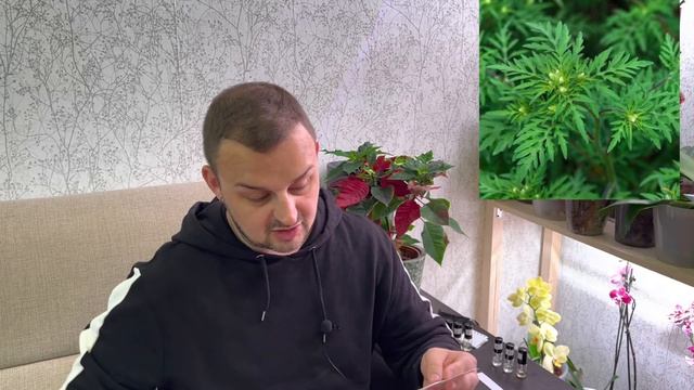 Слепые затесты от Саши @dushno Удивил, напугал, заманил ? смотреть онлайн