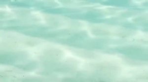 Медитация. Прогулка по берегу моря. (релакс медитация со словами)