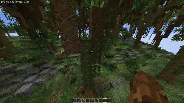 Minecraft Sodium & Iris with Patrix 128x смотреть онлайн