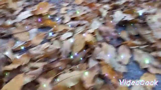 ?Хруст осенних листьев под ногами. Наушники|релакс| для учёбы, работы| перед сном...