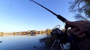 Оснастка IN-LINE. Ловля КАРАСЯ на ФИДЕР (пикер) весной.