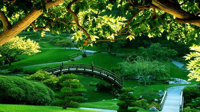 Музыка для медитации смотреть онлайн