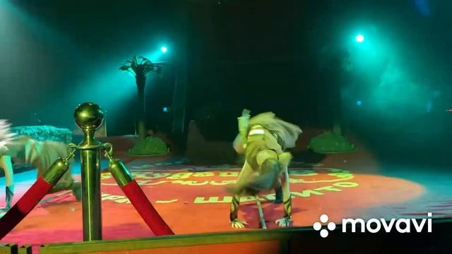 Мы в Цирке Кудзинов смотреть онлайн