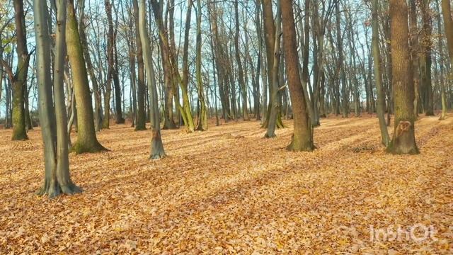 ПРОЩАНИЕ ОСЕНИ... ???? смотреть онлайн