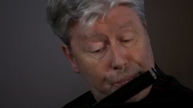 Sonata BWV 1035 by J. S. Bach, 2. Allegro смотреть онлайн