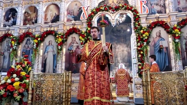 Царица Небесная, Ты мой Покров, Ты Надежда моя (Задонский монастырь 2022г)