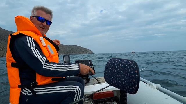 Смешные Моменты с Животными