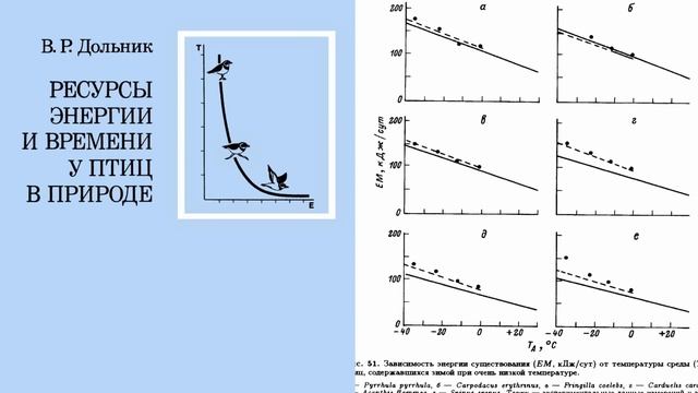 Где ночуют птицы? смотреть онлайн