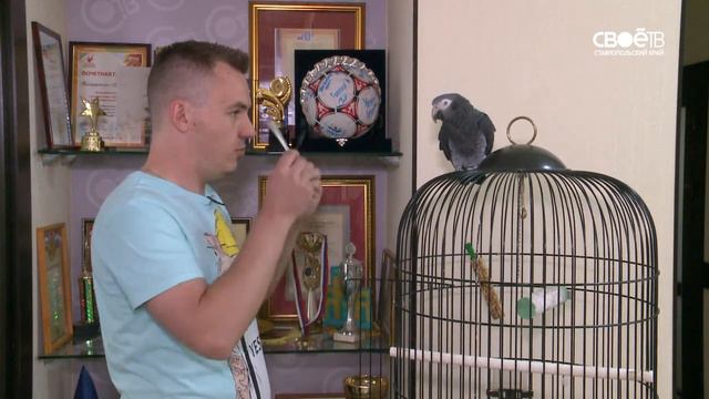 Жора предсказывает результат матча Аргентина-Хорватия смотреть онлайн