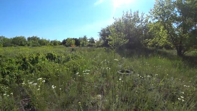 Цветочная поляна - природа драпирует мусор, оставленный людьми летом 2021 года смотреть онлайн