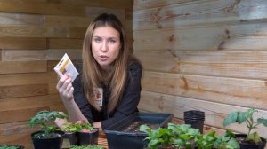 ВЫРАЩИВАНИЕ РЕДИСА НА ПОДОКОННИКЕ ЗИМОЙ 100% СПОСОБ