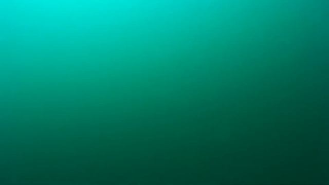 Затонувшая Горгиппия