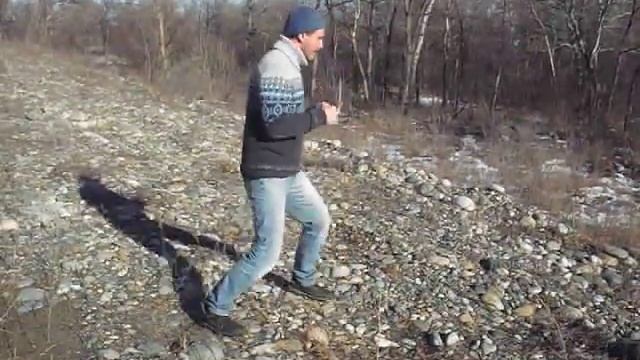 Маятниковое движение