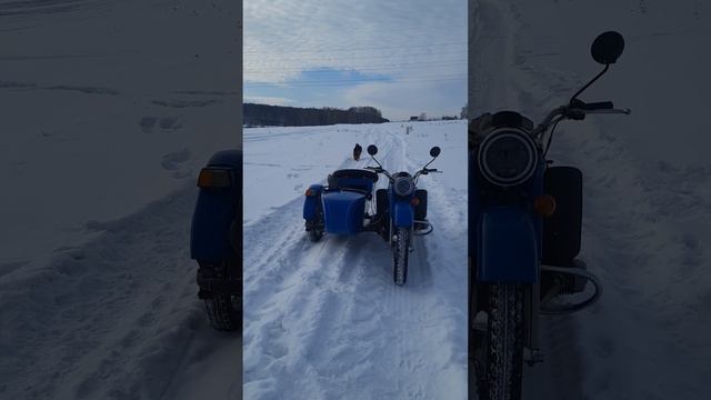 на урале зимой с рексом. смотреть онлайн