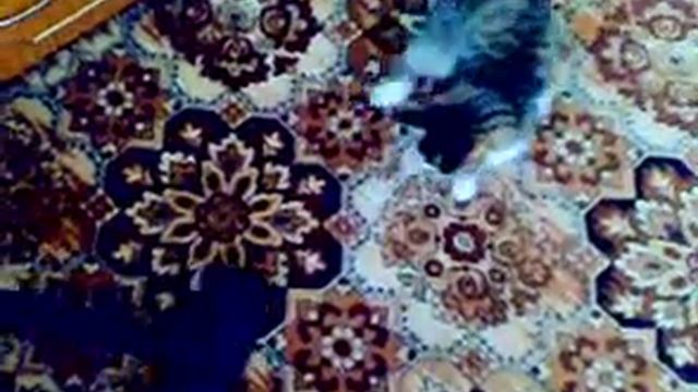 Соня и пылесос смотреть онлайн