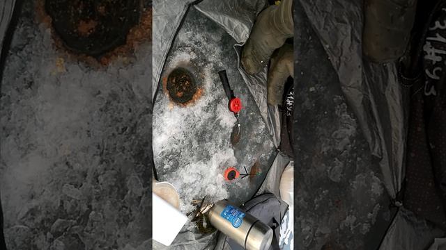 Зимняя рыбалка в Кононово на Енисее 10.04.17 смотреть онлайн