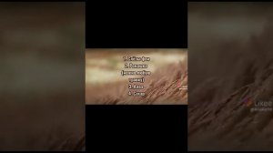 🔮 ПОДБОРКА ВИДЕО для травниц и ведьм из ТТ🌱