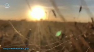 Просто Любить