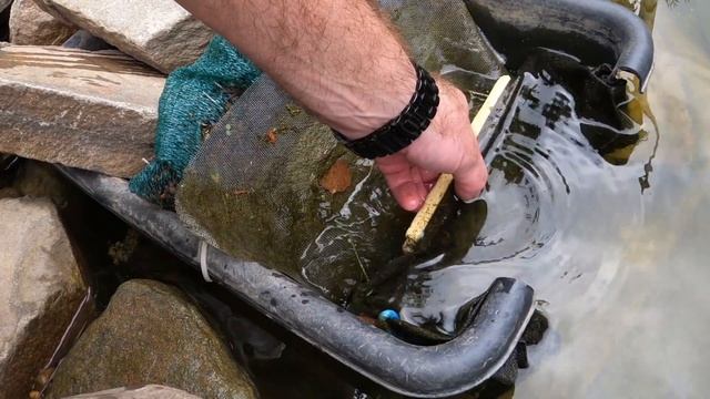 Как сделать скиммер для пруда - 2 версия - бюджет 1000 руб смотреть онлайн