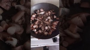 Мокруха еловая. Как выглядит. Приготовление с овощами.