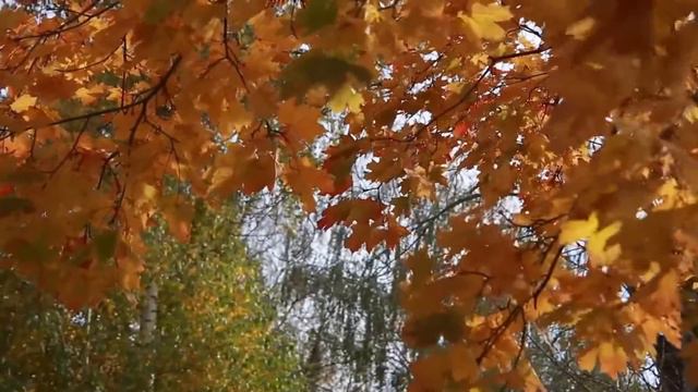 С Днем рождения Доченька,моя!! смотреть онлайн