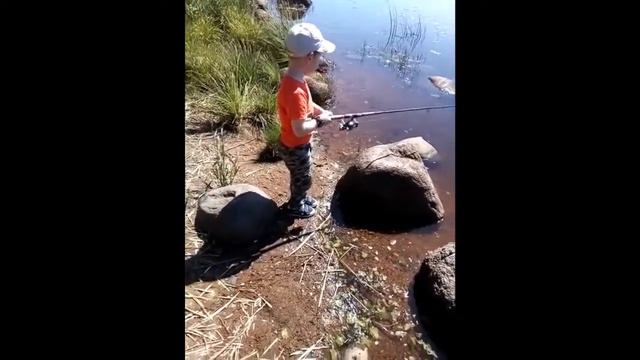 Лето 2018 смотреть онлайн