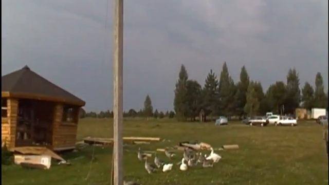 карп - орловская область смотреть онлайн