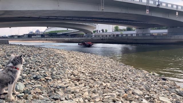 Утро на релаксе смотреть онлайн