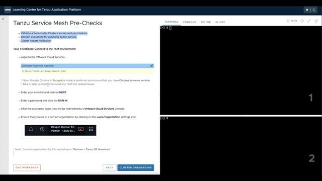 Tanzu for Kubernetes Operations (TKO) Workshop - TSM Module Walkthrough смотреть онлайн