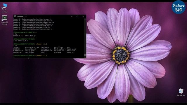 How to perform HMMsearch using HMMER on WIndows PC? HMM profile, protein homolgy search. (Tutorial) смотреть онлайн
