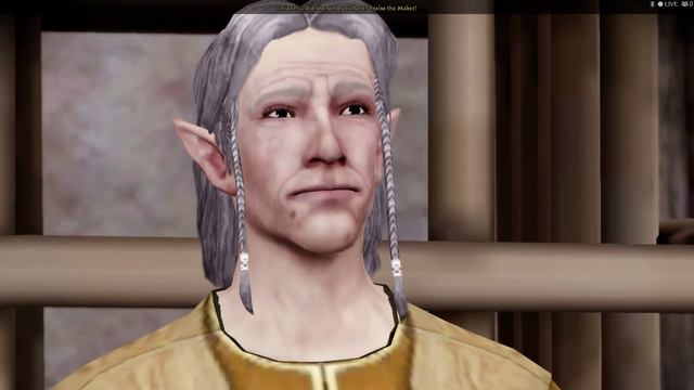 Dragon Age: Origins Part 25 смотреть онлайн