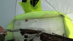 Раскладушка Медведь для зимней палатки или оборудование спального места