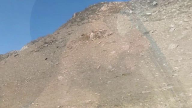 Достопримечательности Чуйского тракта. Автопутешествие по Алтаю с котом. #чуйскийтракт #алтай #кот смотреть онлайн