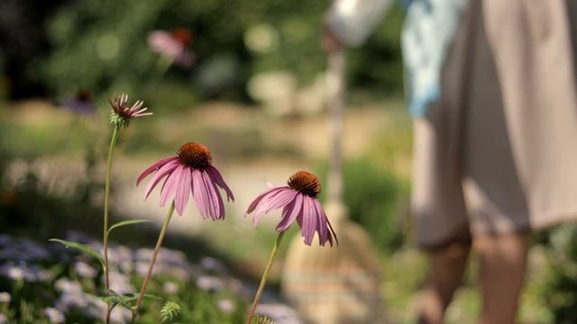 Lato pachnie malinami | cichy vlog | napisy | ASMR смотреть онлайн