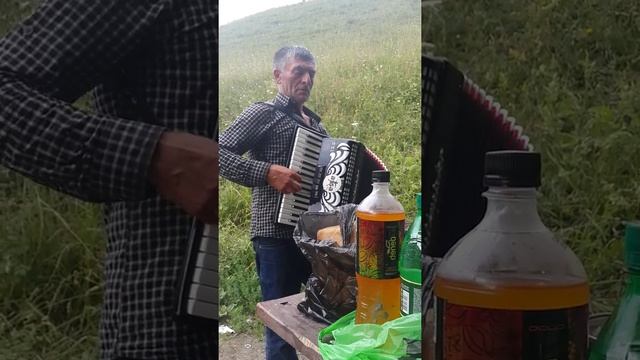 Амир амиров смотреть онлайн