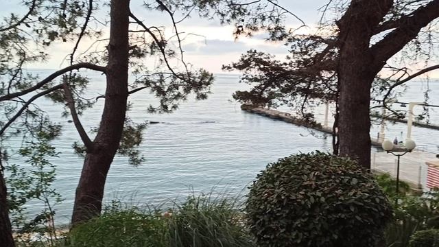 Вечерняя прогулка смотреть онлайн