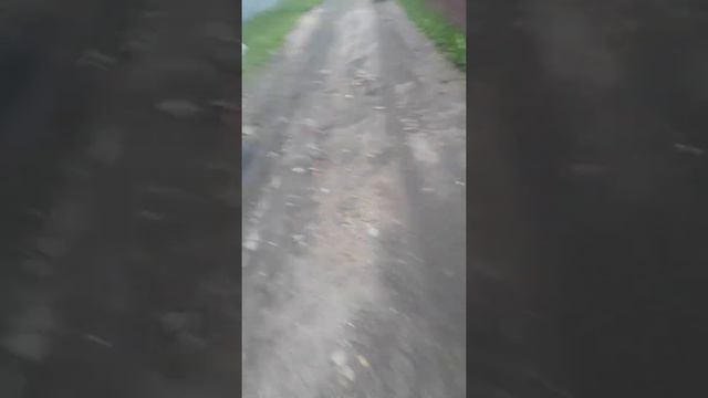 Стафф против леф смотреть онлайн