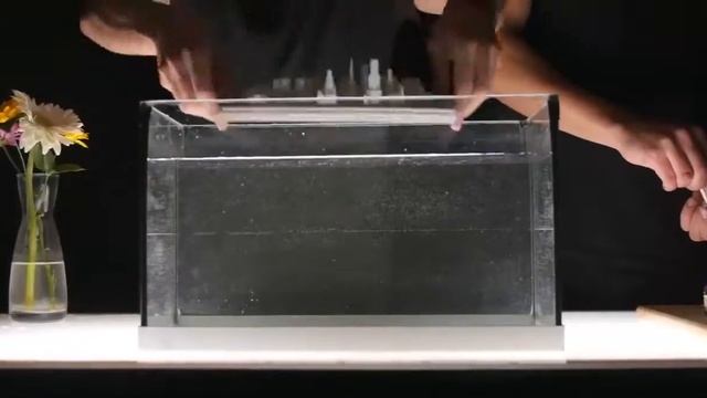 чернила в воде смотреть онлайн