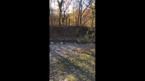 Фанагорийское, Краснодарский край, Россия, прогулка по лесу на велосипеде