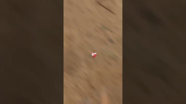 ТИТАН КАМЕРАМЕН ТОП!#skibiditoilet #рек #мем #brawlstars #популярное #minecraft #фуфелшмерц #sigma смотреть онлайн