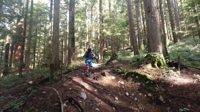 TWO NOOBS TRY RIDING TRAILS | Bike Crash | KLX250 & Super Sherpa | Dual-Sport Bikes смотреть онлайн