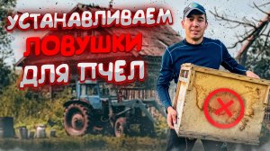 УСТАНАВЛИВАЕМ ЛОВУШКИ ДЛЯ ПЧЕЛ/ВЫБОР МЕСТА/10 ЛОВУШЕК ДЛЯ ПЧЕЛ