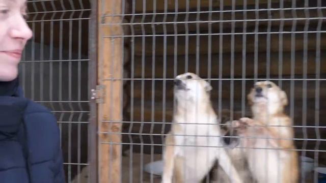 Прогулки по зимней "Найде" смотреть онлайн