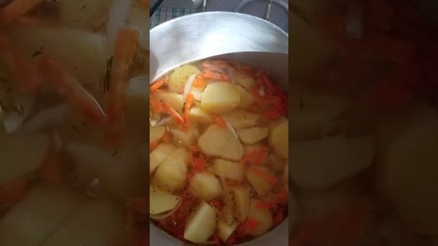 Быстрый суп за 10 минут, картофельный суп.